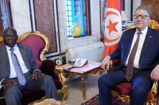 إبراهيم بودربالة يستقبل سفير الكاميرون ويدعو لتوحيد المواقف الإفريقية