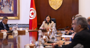 قرارات حكومية عاجلة لإنجاح موسم حصاد الحبوب وتأمين الأسمدة بتونس