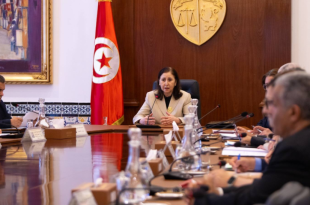 قرارات حكومية عاجلة لإنجاح موسم حصاد الحبوب وتأمين الأسمدة بتونس