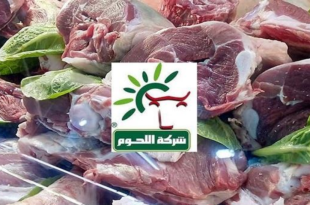 شركة اللحوم تونس: لحم الضأن المحلي بـ46.500 دينار ونقاط البيع