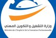 تفاصيل برنامج وزارة التشغيل لتمويل المشاريع بالجهات الأقل تنمية
