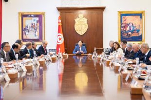 قرارات مجلس وزاري بإشراف سارة الزعفراني لتسريع المشاريع العمومية
