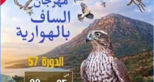 برنامج مهرجان الساف بالهوارية 2026 الدورة 57 عرس البيزرة