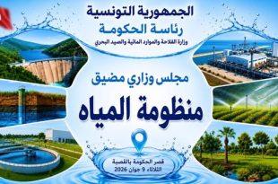 مجلس وزاري يقر خطة لتأمين مياه الشرب صيف 2026 بتونس