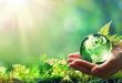 محاور تدخل الصندوق الدولي للتنمية الزراعية في تونس 2026-2031
