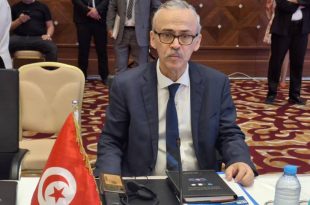عصام الأحمر يعلن دراسة تأثير الذكاء الاصطناعي على سوق العمل تونس