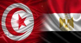 تشكيل مجلس أعمال مصري تونسي لتعزيز التجارة ودخول أسواق إفريقيا