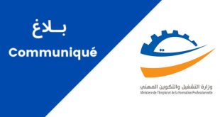 قروض وزارة التشغيل 2026: تمويل المشاريع بالجهات الأقل تنمية