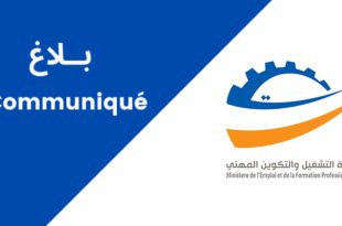 قروض وزارة التشغيل 2026: تمويل المشاريع بالجهات الأقل تنمية
