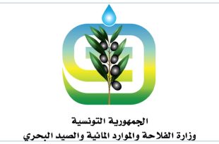 وزارة الفلاحة تحذر من مرض بومريرة عند الماشية