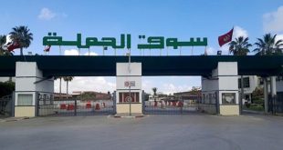 تراجع أسعار الخضر والغلال في سوق بئر القصعة جوان 2026