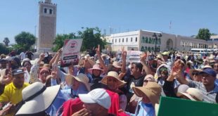 52 نائباً برلمانياً يطالبون رئيسة الحكومة بتفعيل قانون انتداب من طالت بطالتهم