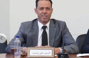 النائب علي زغدود يطالب بجلسة عامة عاجلة مع وزير الطاقة بسبب أزمة الكهرباء
