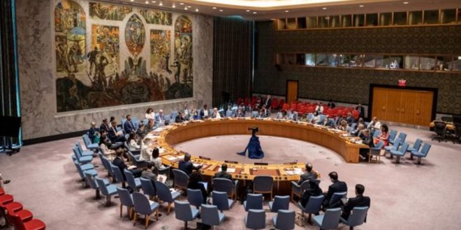 قضية السودان أمام مجلس الأمن الدولي بين جدلية حظر السلاح ومخاطر إضعاف الدولة
