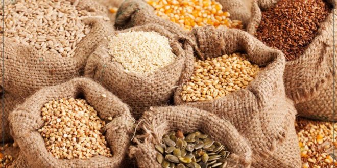 بلاغ وزارة الفلاحة: ضبط أسعار البذور وتوفير مستلزمات موسم الحبوب الجديد
