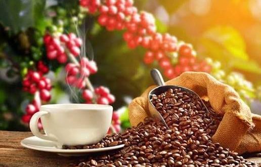 البن اليمني... حكاية بدأت قبل مئات السنين