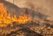 صيف استثنائي وحصيلة قياسية: الحماية المدنية تخمد أكثر من 13 ألف حريق منذ جوان الماضي