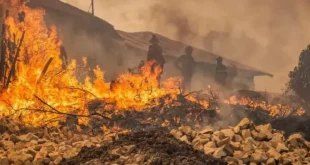 صيف استثنائي وحصيلة قياسية: الحماية المدنية تخمد أكثر من 13 ألف حريق منذ جوان الماضي