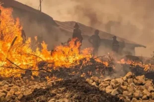 صيف استثنائي وحصيلة قياسية: الحماية المدنية تخمد أكثر من 13 ألف حريق منذ جوان الماضي