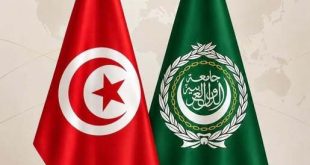 نبيل فهمي ومحمد علي النفطي يبحثان تعزيز آليات العمل العربي المشترك والتطورات الإقليمية