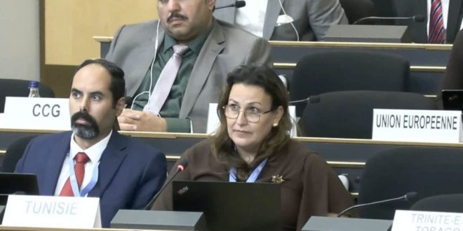 بعثة تونس بجنيف تدعو آليات حقوق الإنسان الأممية للحياد وتجدد دعمها المطلق للمقررة الخاصة فرانشيسكا ألبانيزي