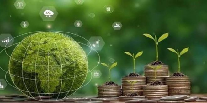 وكالة النهوض بالاستثمارات الفلاحية: ارتفاع الاستثمارات الخاصة المصادق عليها إلى 277 مليون دينار أواخر جويلية 2026