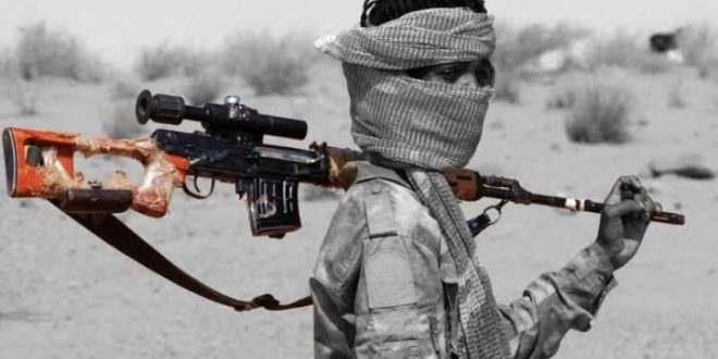 معادلة حظر السلاح في السودان بين حق الدولة ومخاطر الحرب