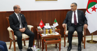تونس والجزائر تبحثان مشروعاً مشتركاً لإنتاج الكهرباء بقدرة 1400 ميغاواط