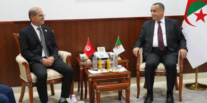 تونس والجزائر تبحثان مشروعاً مشتركاً لإنتاج الكهرباء بقدرة 1400 ميغاواط