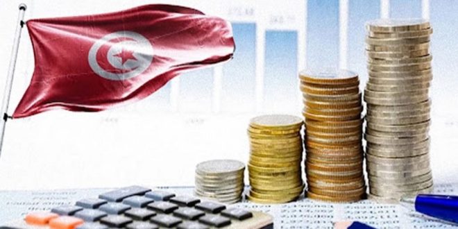 وزارة المالية تكشف عن توجهات استراتيجية لإدماج القطاع الموازي، توجيه الامتيازات، واستعادة إنتاج الفسفاط