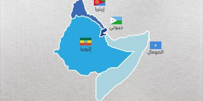 طائرُ الجُهَيْمِ والقرنُ الأفريقيُّ: ماذا نحن فاعلون؟