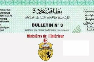 وزارة الداخلية: استراتيجية رقمية لتسليم بطاقات السوابق العدلية (عدد 3) في أنسب الآجال