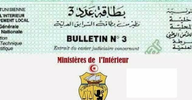 وزارة الداخلية: استراتيجية رقمية لتسليم بطاقات السوابق العدلية (عدد 3) في أنسب الآجال